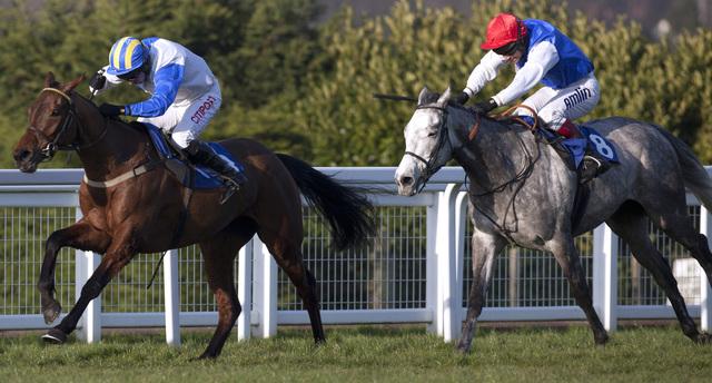 https://betting.betfair.com/horse-racing/finish%20two%20horses.jpg